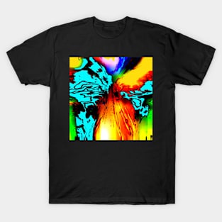 A Dimensional Phenomenon T-Shirt